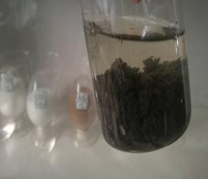 �ۺ��Ȼ��X