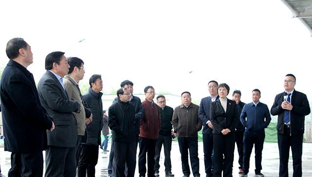鶴壁市委常委、常務副市長等領導來岐伯基地視察并指導工作
